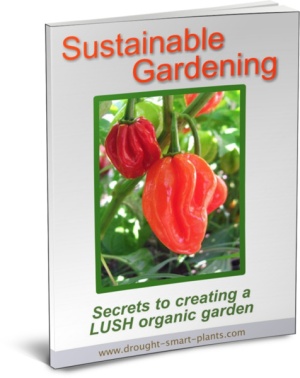 buy the Sustainable Gardening E-Boo